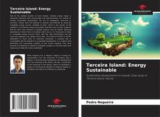 Copertina di Terceira Island: Energy Sustainable