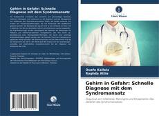 Bookcover of Gehirn in Gefahr: Schnelle Diagnose mit dem Syndromansatz