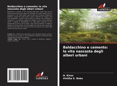 Обложка Baldacchino e cemento: la vita nascosta degli alberi urbani