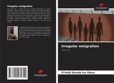 Couverture de Irregular emigration