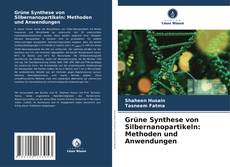 Portada del libro de Grüne Synthese von Silbernanopartikeln: Methoden und Anwendungen