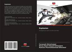 Bookcover of Explosion