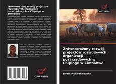 Zrównoważony rozwój projektów rozwojowych organizacji pozarządowych w Chipinge w Zimbabwe的封面