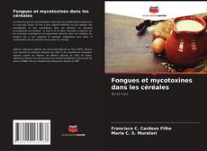 Buchcover von Fongues et mycotoxines dans les céréales