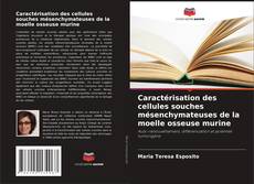 Couverture de Caractérisation des cellules souches mésenchymateuses de la moelle osseuse murine