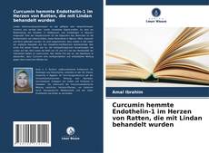 Portada del libro de Curcumin hemmte Endothelin-1 im Herzen von Ratten, die mit Lindan behandelt wurden