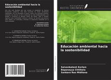 Educación ambiental hacia la sostenibilidad kitap kapağı