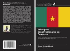Copertina di Principios constitucionales en Camerún