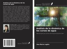 Couverture de Análisis de la dinámica de los cursos de agua