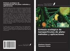 Capa do livro de Síntesis ecológica de nanopartículas de plata: métodos y aplicaciones 