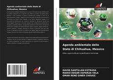 Copertina di Agenda ambientale dello Stato di Chihuahua, Messico