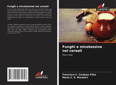Funghi e micotossine nei cereali kitap kapağı