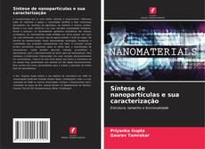 Copertina di Síntese de nanopartículas e sua caracterização