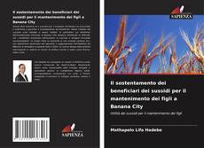 Copertina di Il sostentamento dei beneficiari dei sussidi per il mantenimento dei figli a Banana City