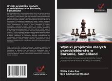 Wyniki projektów małych przedsiębiorstw w Boramie, Somaliland的封面