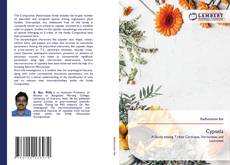 Capa do livro de Cypsela 