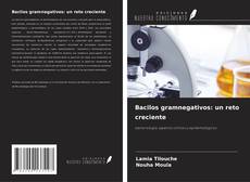 Bacilos gramnegativos: un reto creciente的封面