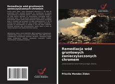 Buchcover von Remediacja wód gruntowych zanieczyszczonych chromem