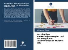 Portada del libro de Nachhaltige Marketingstrategien und das Image von Unternehmen in Mwene-Ditu