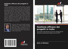 Bookcover of Gestione efficace dei progetti in India
