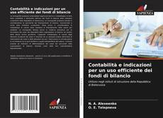Bookcover of Contabilità e indicazioni per un uso efficiente dei fondi di bilancio