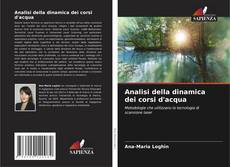 Analisi della dinamica dei corsi d'acqua的封面