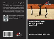 Copertina di Miglioramento dei terreni argillosi gonfiabili