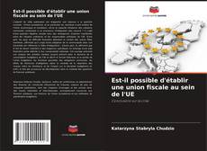 Est-il possible d'établir une union fiscale au sein de l'UE的封面