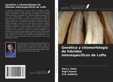 Copertina di Genética y citomorfología de híbridos interespecíficos de Luffa