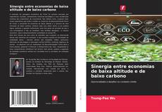 Capa do livro de Sinergia entre economias de baixa altitude e de baixo carbono 
