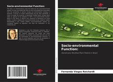 Couverture de Socio-environmental Function: