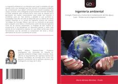 Bookcover of Ingeniería ambiental