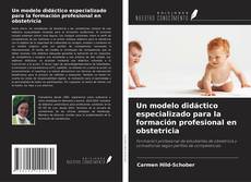 Copertina di Un modelo didáctico especializado para la formación profesional en obstetricia