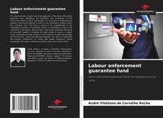 Labour enforcement guarantee fund的封面