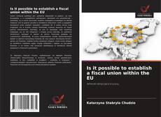 Copertina di Is it possible to establish a fiscal union within the EU
