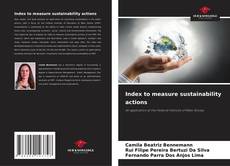 Bookcover of Index to measure sustainability actions