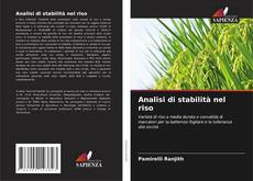Borítókép a  Analisi di stabilità nel riso - hoz