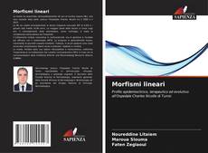 Borítókép a  Morfismi lineari - hoz
