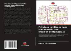 Principes juridiques dans la science du droit brésilien contemporain的封面