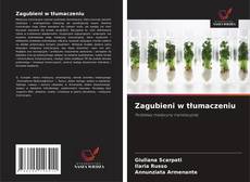 Zagubieni w tłumaczeniu的封面