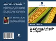 Vergleichende Analyse für SDPRP, PASDEP und GTP in Äthiopien kitap kapağı