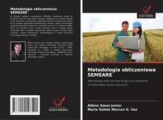 Copertina di Metodologia obliczeniowa SEMEARE