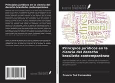 Copertina di Principios jurídicos en la ciencia del derecho brasileño contemporáneo