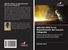 Attività OHS in un Dipartimento del Lavoro integrato kitap kapağı