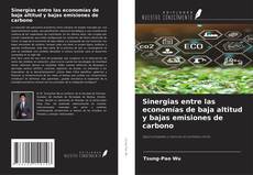 Copertina di Sinergias entre las economías de baja altitud y bajas emisiones de carbono