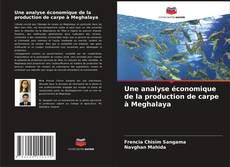 Couverture de Une analyse économique de la production de carpe à Meghalaya