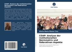 COAP: Analyse der institutionellen Normmatrix und föderativen Aspekte的封面