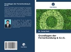 Borítókép a  Grundlagen der Fernerkundung & G.I.S. - hoz