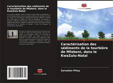 Bookcover of Caractérisation des sédiments de la tourbière de Mfabeni, dans le KwaZulu-Natal