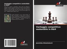 Portada del libro de Vantaggio competitivo sostenibile in B&H